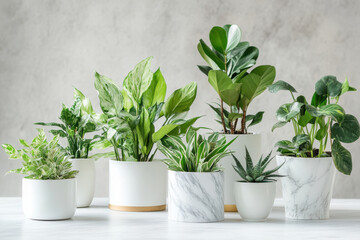 Fototapeta premium Lush green plants in stylish pots create vibrant indoor garden atmosphere, enhancing any space with their natural beauty and freshness