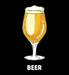 Glass of beer. Hand drawn vector illustration.