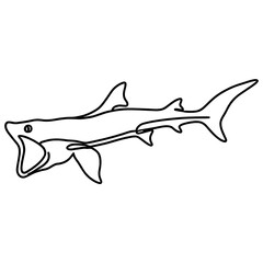 Fototapeta premium Basking Shark Line Drawing
