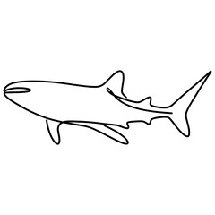 Obraz premium whale shark line drawing