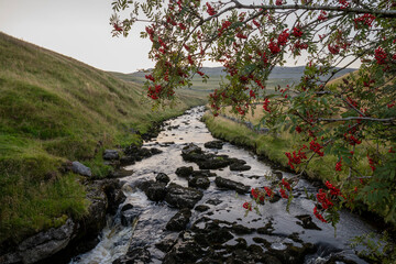 The River Twiss , part of the Ingleton Waterfalls Trail in Yorkshire