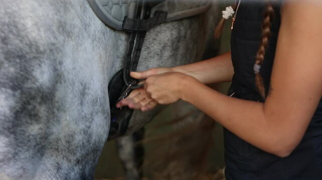 Close-up of a young rider fastening saddle cinches on her horse in the stable