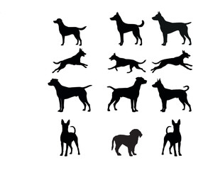 Silhouette Dog white background isolated image