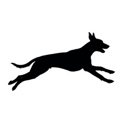 Silhouette Dog white background isolated image