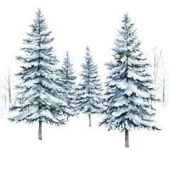Obraz premium A snowy Christmas landscape with tall pine trees, watercolor illustration, soft blues and whites, isolated on white background