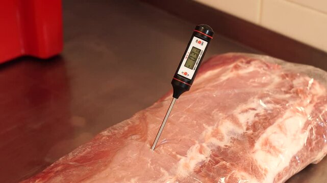 The measuring device probe measures the temperature of meat in production. Defrosting