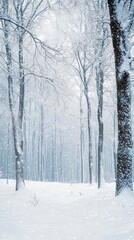 Naklejka premium Serene Forest Blanketed in Heavy Snowstorm