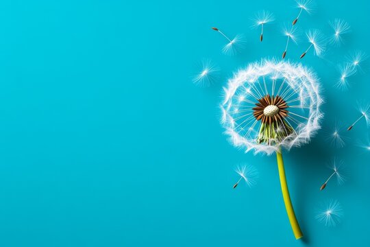 Dandelion puffball in a retro poster design, with stylized seeds floating on a faded pastel background