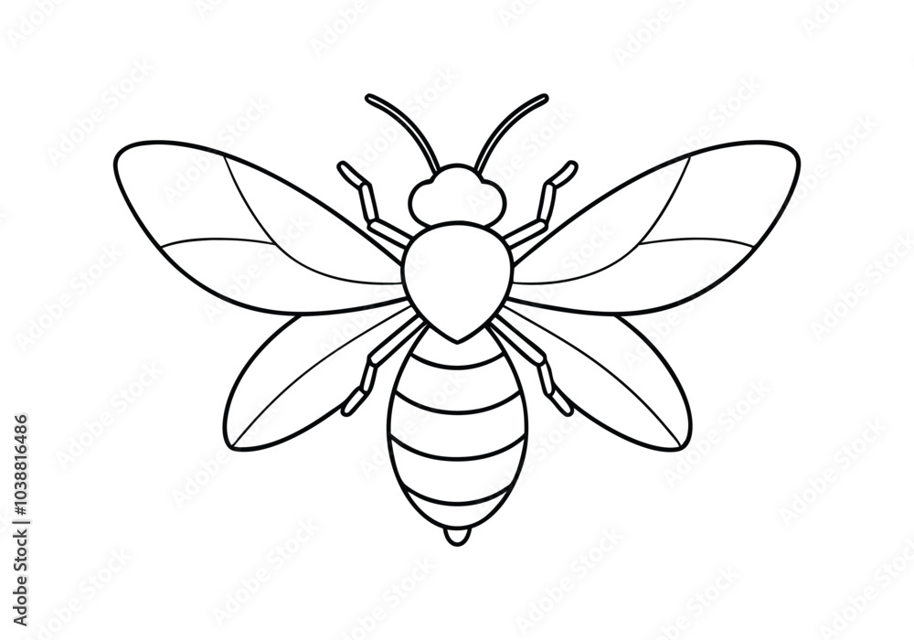 Poster continuous line art of a honeybee with wings spread – nature-inspired vector