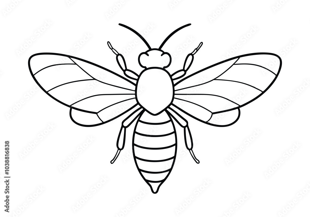 Poster continuous line art of a honeybee with wings spread – nature-inspired vector