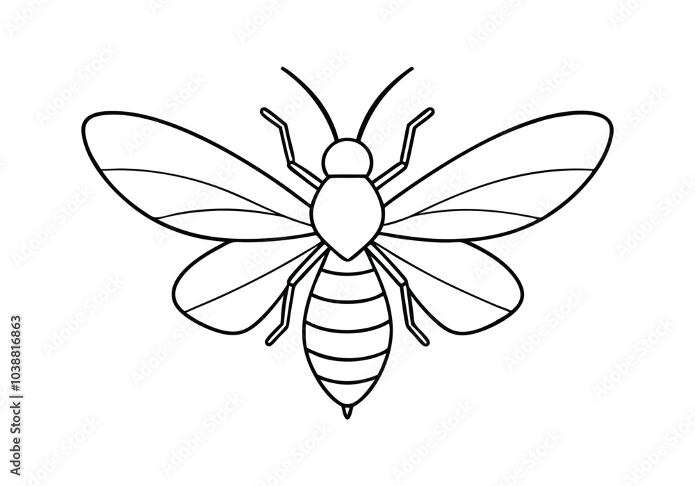 Poster Continuous Line Art of a Honeybee with Wings Spread – Nature-Inspired Vector
