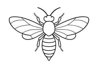 Continuous Line Art of a Honeybee with Wings Spread – Nature-Inspired Vector