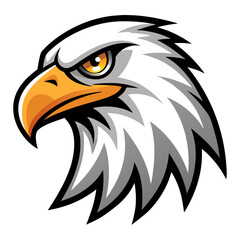 american bald eagle