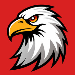 american bald eagle