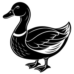 duck isolated on white