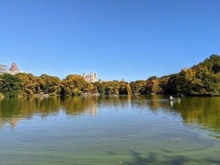 Fototapeta premium Central Park in Fall, New York - October 2024