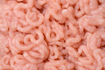 Fresh raw chicken mince with salt, spices and herbs
