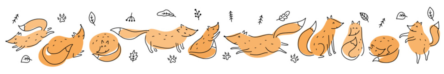 Vector horizontal illustration from a collection of hand-drawn foxes in the doodle style
