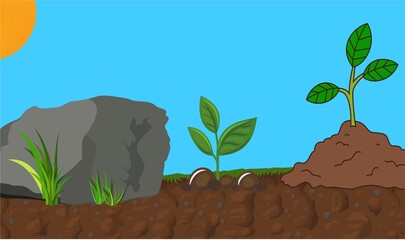 Design sem nome - 1
