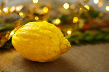 Happy Sukkot festival, concept of Jewish holiday