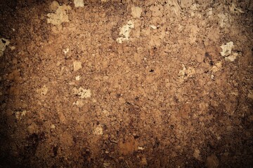 Cork board with a wood like texture and empty space for text