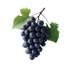 Fototapeta premium Blue grapes bunch isolated on white background. Generative AI