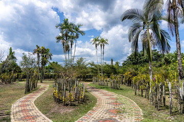 Paved Garden Path in Orchid Garden in Sabah Agriculture Park (Botanical Garden), Tenom, Malaysia...