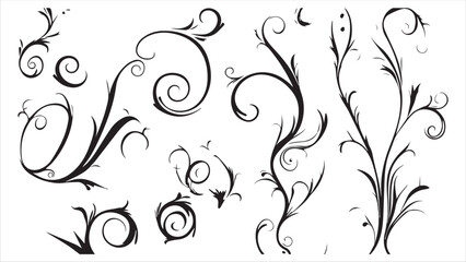 Set of vector black swirls on a white background,
