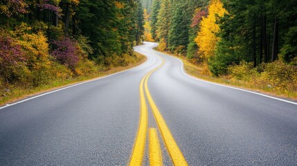 Fototapeta premium Winding Road Through Autumn Forest