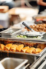 Shallow focus of Some tacos with meat set on the plate surrounded by some other foods