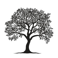 A tree with branches and leaves spreading wide, symbolizing nature and growth on a white background