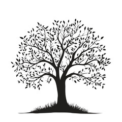 Obraz premium A tree with branches and leaves spreading wide, symbolizing nature and growth on a white background