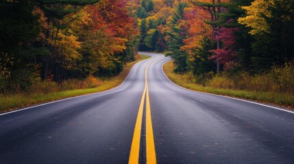 Fototapeta premium Autumn Road