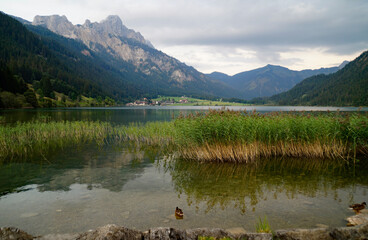 scenic alpine lake Haldensee surrounded by lush green trees in the Austrian Alps of the Tannheim valley or Tannheimer Tal, Tirol, Austria