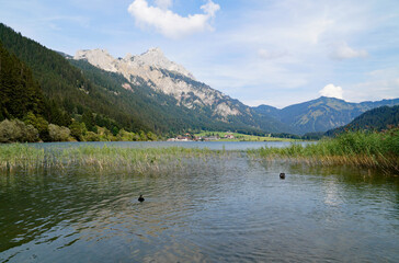 scenic alpine lake Haldensee surrounded by lush green trees in the Austrian Alps of the Tannheim valley or Tannheimer Tal, Tirol, Austria	