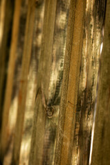 Abstract wooden background with a shallow depth of field.