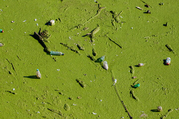 Close-up of a water polluted with waste. The water of a lake polluted with garbage