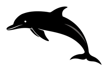 Dolphin Silhouette  vector illustration