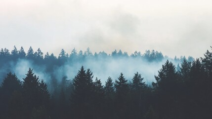 Fototapeta premium Smoke drifts through the trees as a wildfire burns in the quiet forest distance