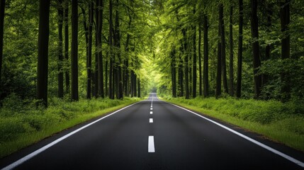 Fototapeta premium Road through the Green Forest
