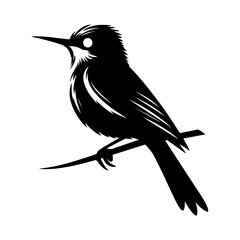 a single bird silhouette vector