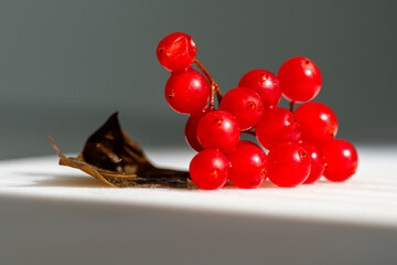 Red currant is popularly known as gilaburu