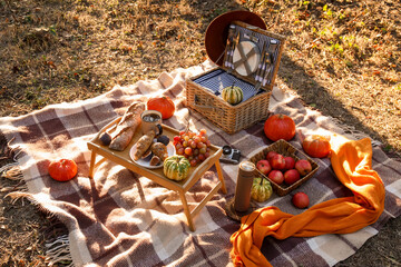 Picnic basket with tasty food on plaid in autumn park