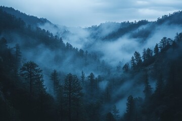 A misty mountain landscape with tall, dark trees and a cool, blue color scheme.