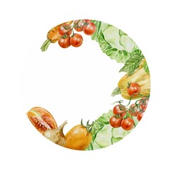 Vegetable frame round. Cabbage, pumpkin, tomato, carrot, onion. Hand drawn watercolor illustration isolated on white. For labels, cards, banners, cookbooks, menus.