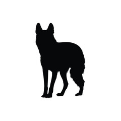 silhouette of a wolf