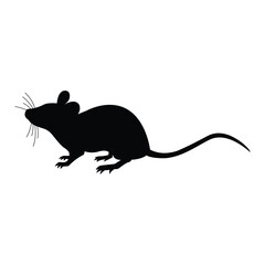 mouse on a white background