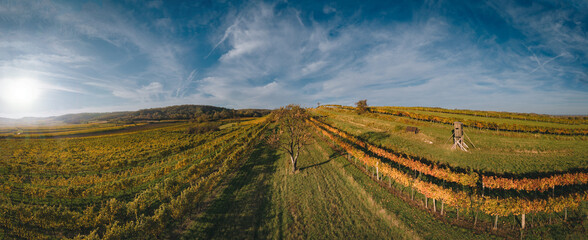 Aerial drone view of colorful vineyards fields in the Austrian Weinviertel region