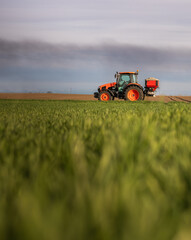 Fototapeta premium Farmer fertilizing arable land with nitrogen fertilizer