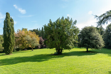 Jardin avec arbre et verdure dans un village de toscane en Italie 